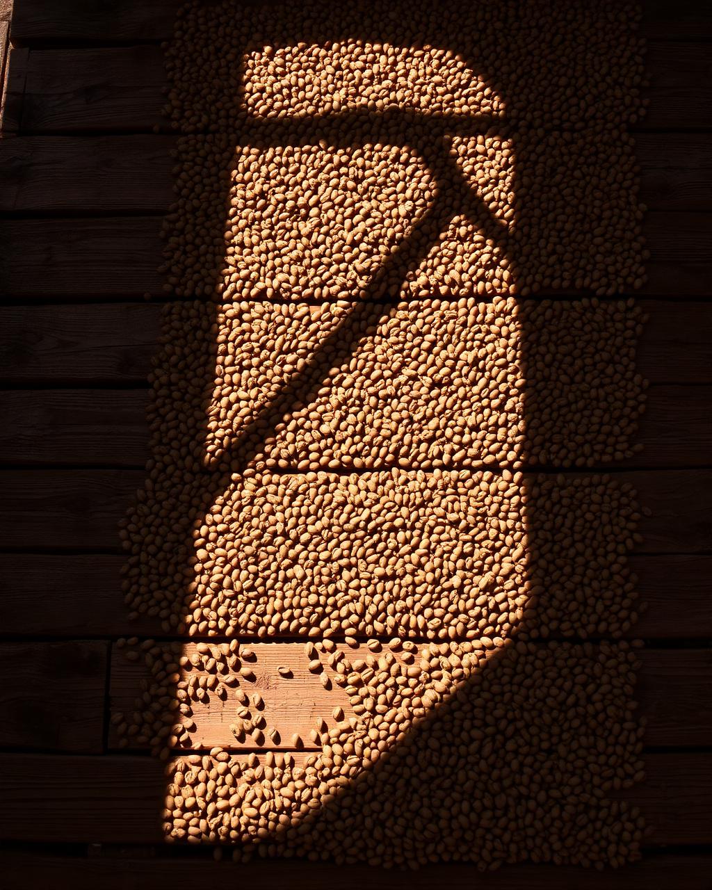 Secado al sol